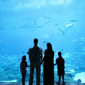 Meet your Posher, Micah